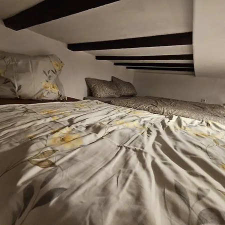 Zentral 2 杜伊斯堡